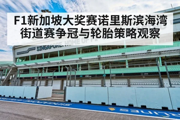 F1新加坡大奖赛诺里斯滨海湾街道赛争冠与轮胎策略观察（kaiyun）